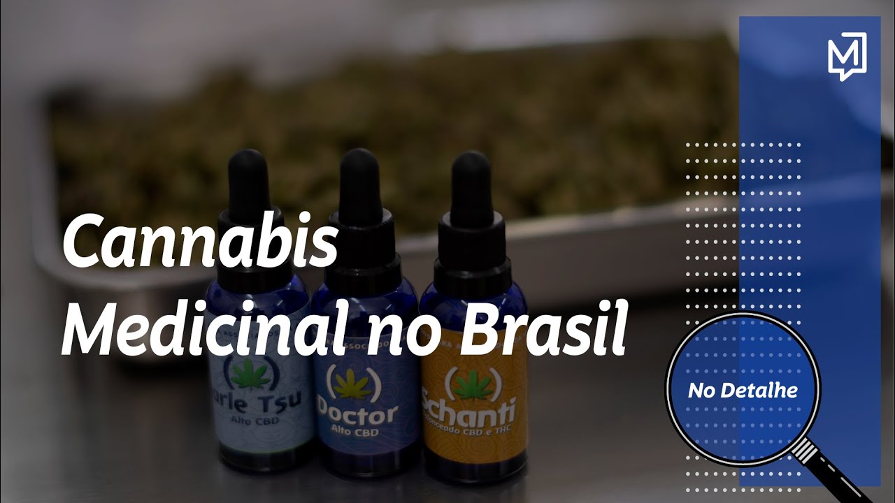 Os Avanços Da Cannabis Medicinal No Brasil Meio 5649